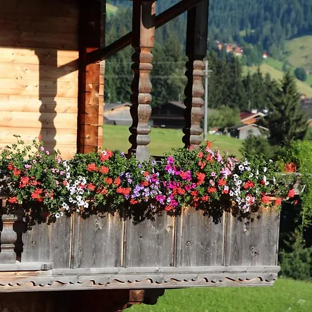 Moahof Zuhaus Apartman *